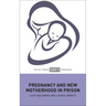 Pregnancy and New Motherhood in Prison