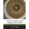 Carbon Capture and Sequestrian (CCS)