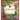 Punchinello and the Most Marvelous Gift: Volume 5