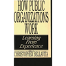 How Public Organizations Work: Learning from Experience