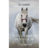 The Courier of Dunbar Gap