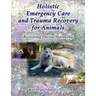Holistic Emergency Care and Trauma Recovery for Animals: Restoring Divine Harmony