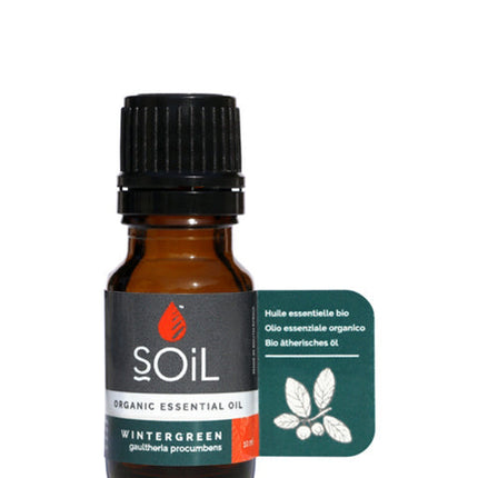 Organic Wintergreen Essential Oil (Gaulteria Procumbens) 10ml by SOiL Organic Aromatherapy and Skincare