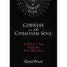 Cobwebs in the Christian Soul: And How to Zap the Spider Who Made Them