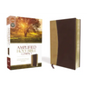 Amplified Bible-Am-Compact: Captures the Full Meaning Behind the Original Greek and Hebrew