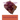 Introduction to Geology