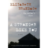 A Stranger Like You