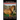 Morgan Horse, Morgan Horse Training Book for Horses, Horse Care, Horse Training, Horse Grooming, Horse Groundwork, Easy Horse Training for Professiona
