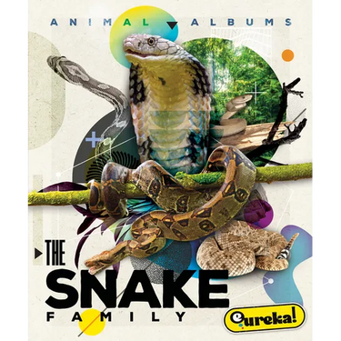 The Snake Family