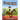 The Brown Donkey Goes To The Races