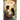 Embracing Love's Light: The Journey of Amihan and Lucio