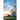 Lost Memories