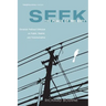 Seek the Peace of the City: Christian Political Criticism as Public, Realist, and Transformative