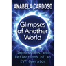Glimpses of Another World: Impressions and Reflections of an EVP Operator