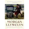 Bard: The Odyssey of the Irish