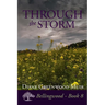 Through the Storm
