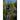 Tales from the Dark Forrest 33, 34