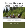 How Horses Are Trained