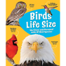Birds Life Size: Up Close and Personal with 47 Bird Species