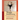 Yoga Sequencing: Designing Transformative Yoga Classes