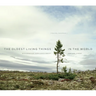 The Oldest Living Things in the World
