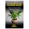 Macramé Plant Hangers Magic: A Beginner's Guide to Crafting Stunning Plant Hangers