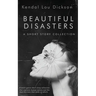 Beautiful Disasters: A Short Story Collection