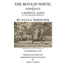 The Boys in White: The experience of a hospital agent in and around Washington