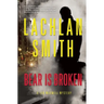Bear Is Broken: A Leo Maxwell Mystery