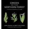 Grasses of the Northern Forest: A Photographic Guide