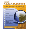 Math Mammoth Grade 8 Review Workbook