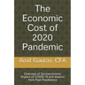 The Economic Cost of 2020 Pandemic: Overview of socio-economic Impact of COVID-19 and lessons from Past Pandemics