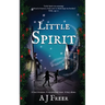 Little Spirit: A children's mystery adventure