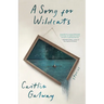 A Song for Wildcats: Stories