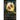 A Portal For Your Thoughts