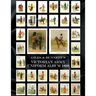 Giles & Bunnett's Victorian Army Uniform Album 1888