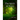 The Spirit of Trees