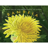 Book One of the Hidden Magic of Plants: Dandeia