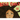 Wild Curls