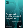 Symmetry in the Mathematical Inequalities