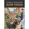 Slow Vision