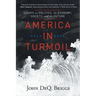 America in Turmoil: Essays on Politics, the Economy, Society, and the Future