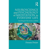 Neuroscience and Psychology of Meditation in Everyday Life: Searching for the Essence of Mind