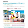 Energy and Resource Efficiency without the tears: The complete guide to to adding value and sustaining change in an organization.