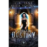 Stolen Destiny: Paranormal Romance
