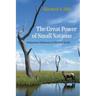 The Great Power of Small Nations: Indigenous Diplomacy in the Gulf South