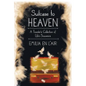 Suitcase to Heaven: A Traveler's Collection of Life's Souvenirs