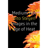 Medium Hot: Images in the Age of Heat