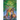 Into the Wild Magic