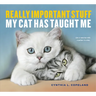 Really Important Stuff My Cat Has Taught Me